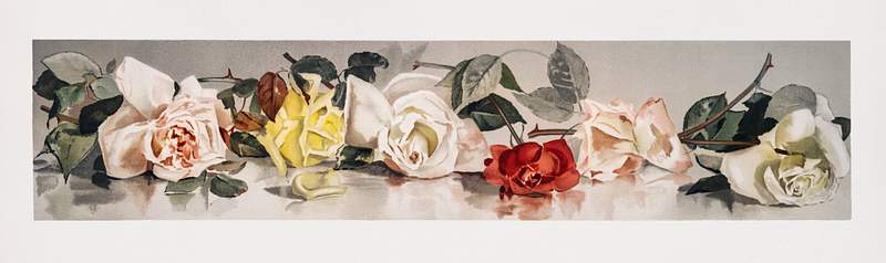 Christmas Roses (1865–1899) by L. Prang & Co. Original from The New York Public Library. Digitally enhanced by…