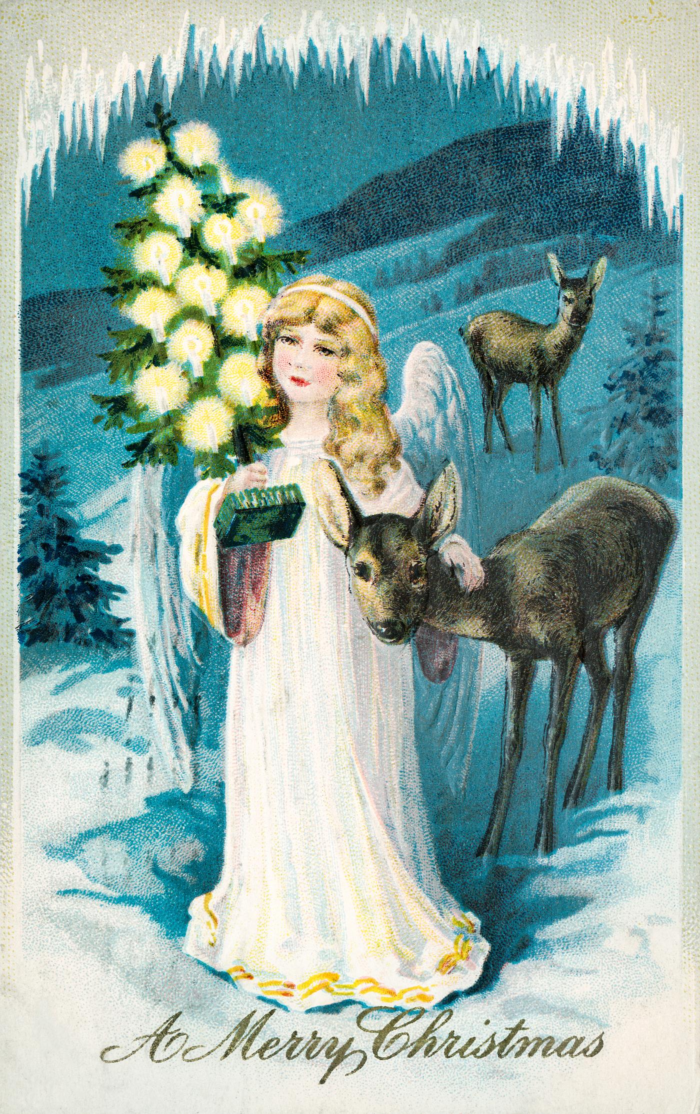 A Merry Christmas Card (1911) from The Miriam and Ira D. Wallach Division of Art, Prints and Photographs. Original from The... A Merry Christmas Card (1911) from The Miriam and Ira D. Wallach Division of Art, Prints and Photographs. Original from The...