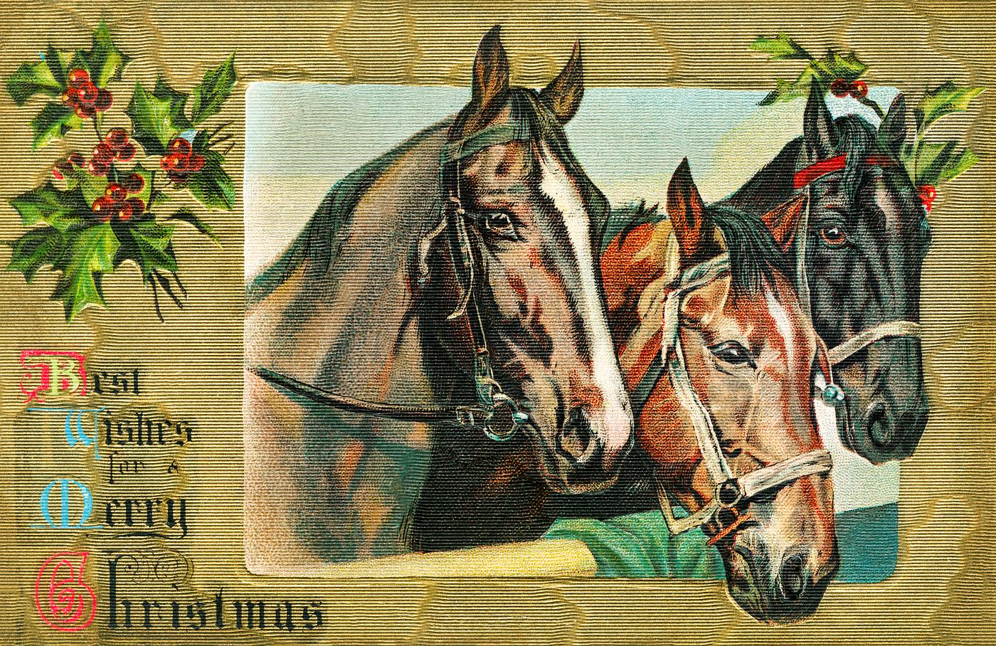 Christmas card with horses Best Wishes for a Merry Christmas (1908) from The Miriam and Ira D. Wallach Division of Art, Prints and Photographs....