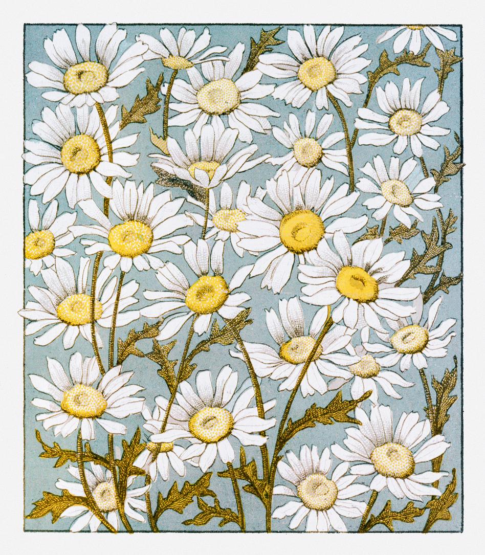 Card Depicting Flowers in Blue Background (1865–1899) by L. Prang & Co. Original from The New York Public Library... Card Depicting Flowers in Blue Background (1865–1899) by L. Prang & Co. Original from The New York Public Library...