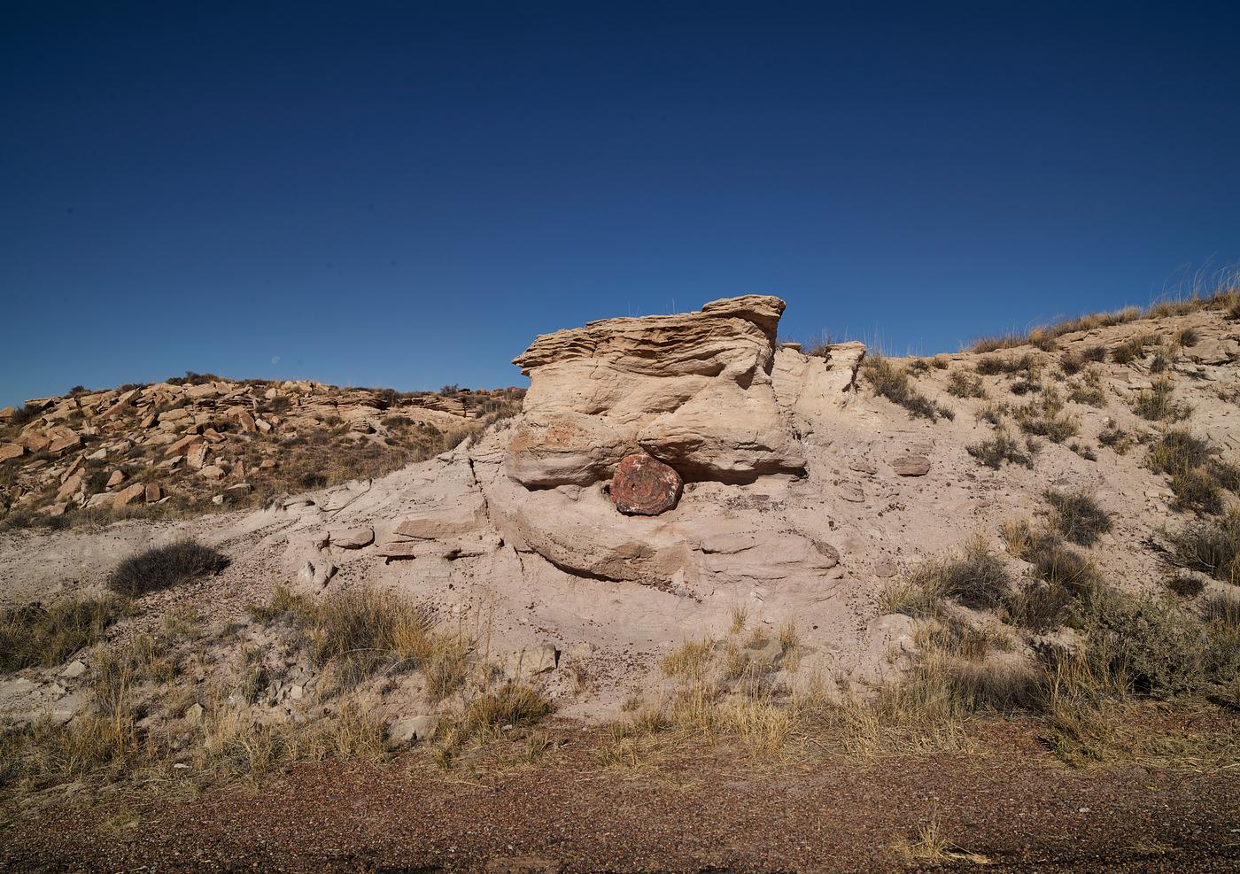 Carol M. Highsmith's Arizona Photograph Formations in the Petrified Forest, now part of a U.S. national park near Holbrook in Arizona’s remote Navajo and...