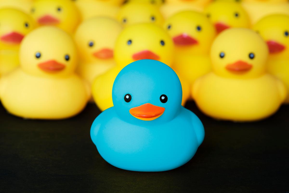 Closeup of rubber duckies | Free stock photo - 377977