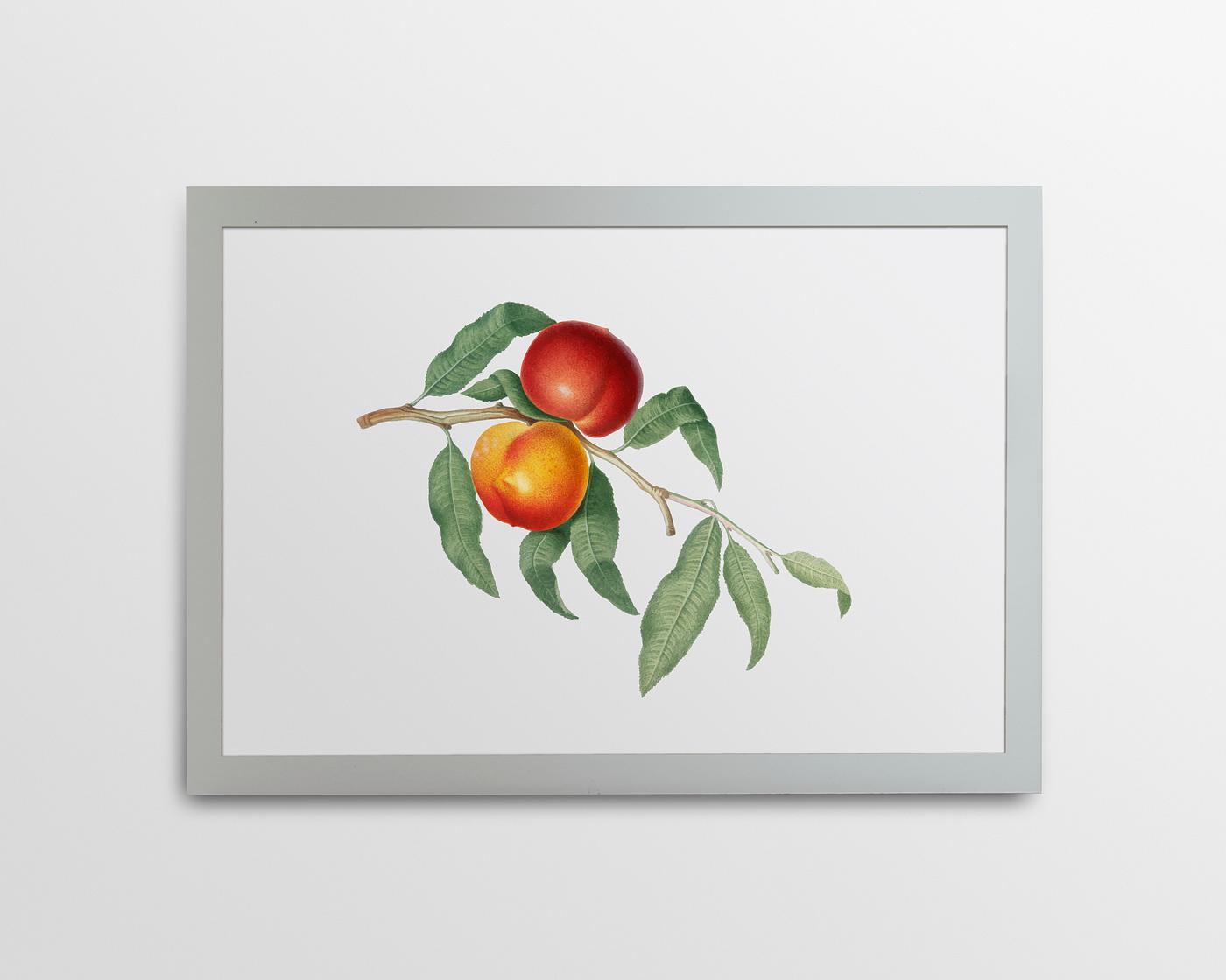 Silver frame mockup Gray picture frame mockup illustration