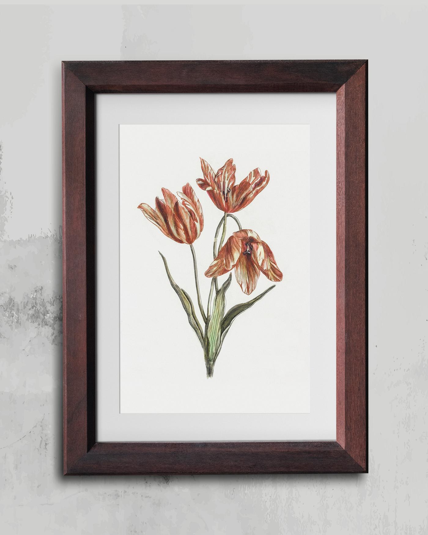 Wooden picture frame mockup illustration Wooden picture frame mockup illustration
