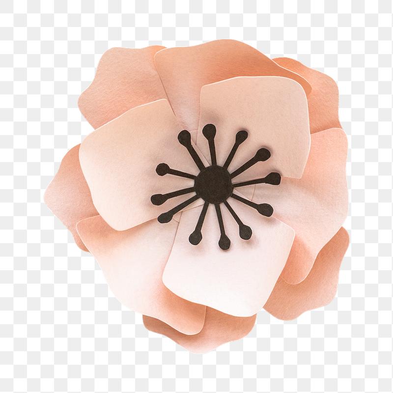 Search Free Stock Photos Psd Mockups Vectors Rawpixel