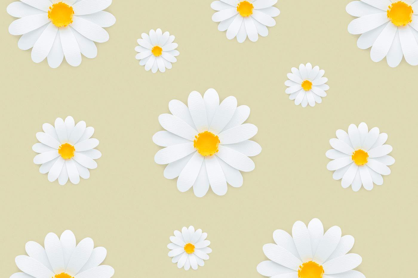 Maru love and yellow daisies essay 07 Maru love and yellow daisies essay 07 picture