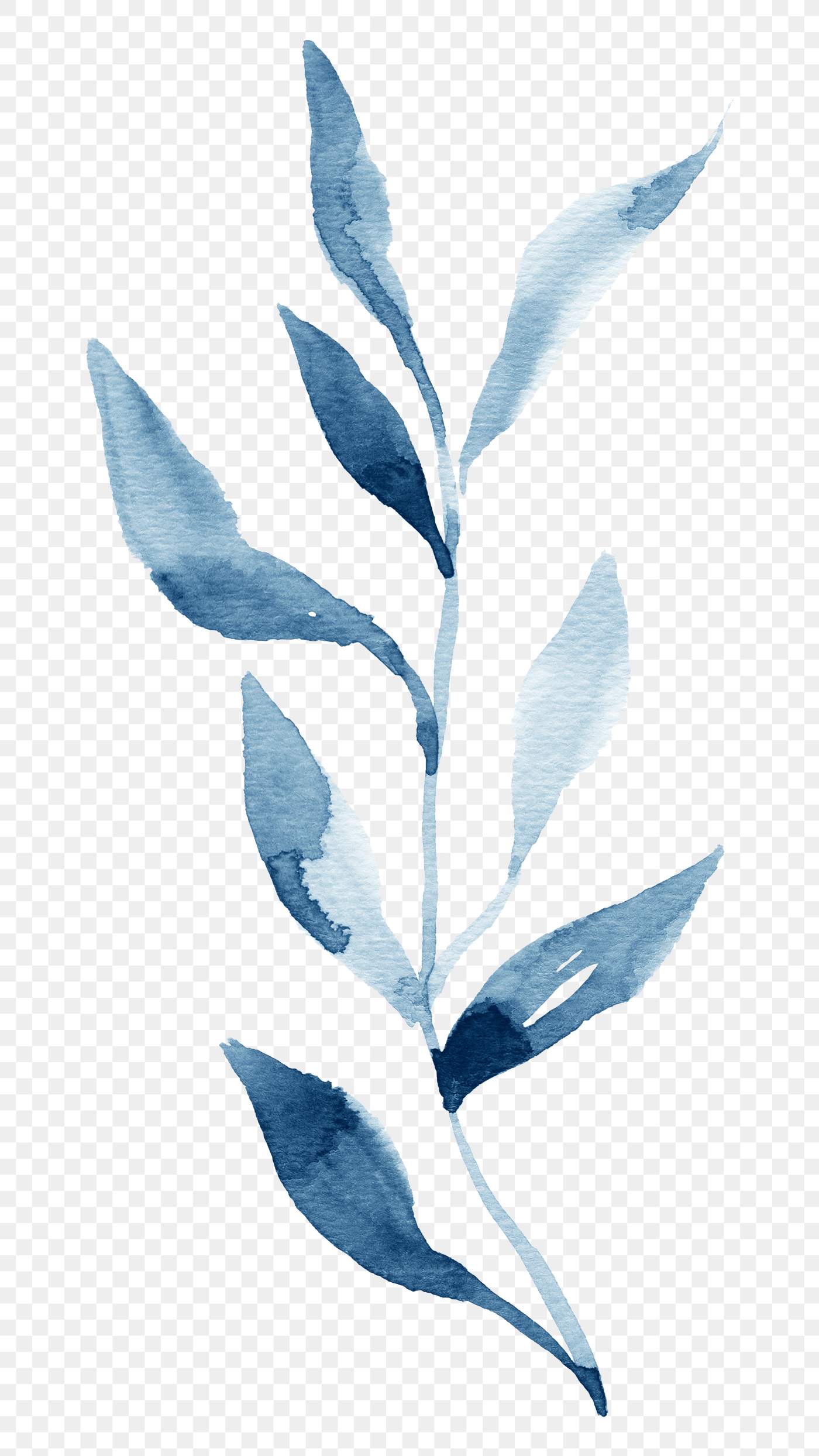 Download Blue leaves in watercolor png | Free transparent png - 2044671