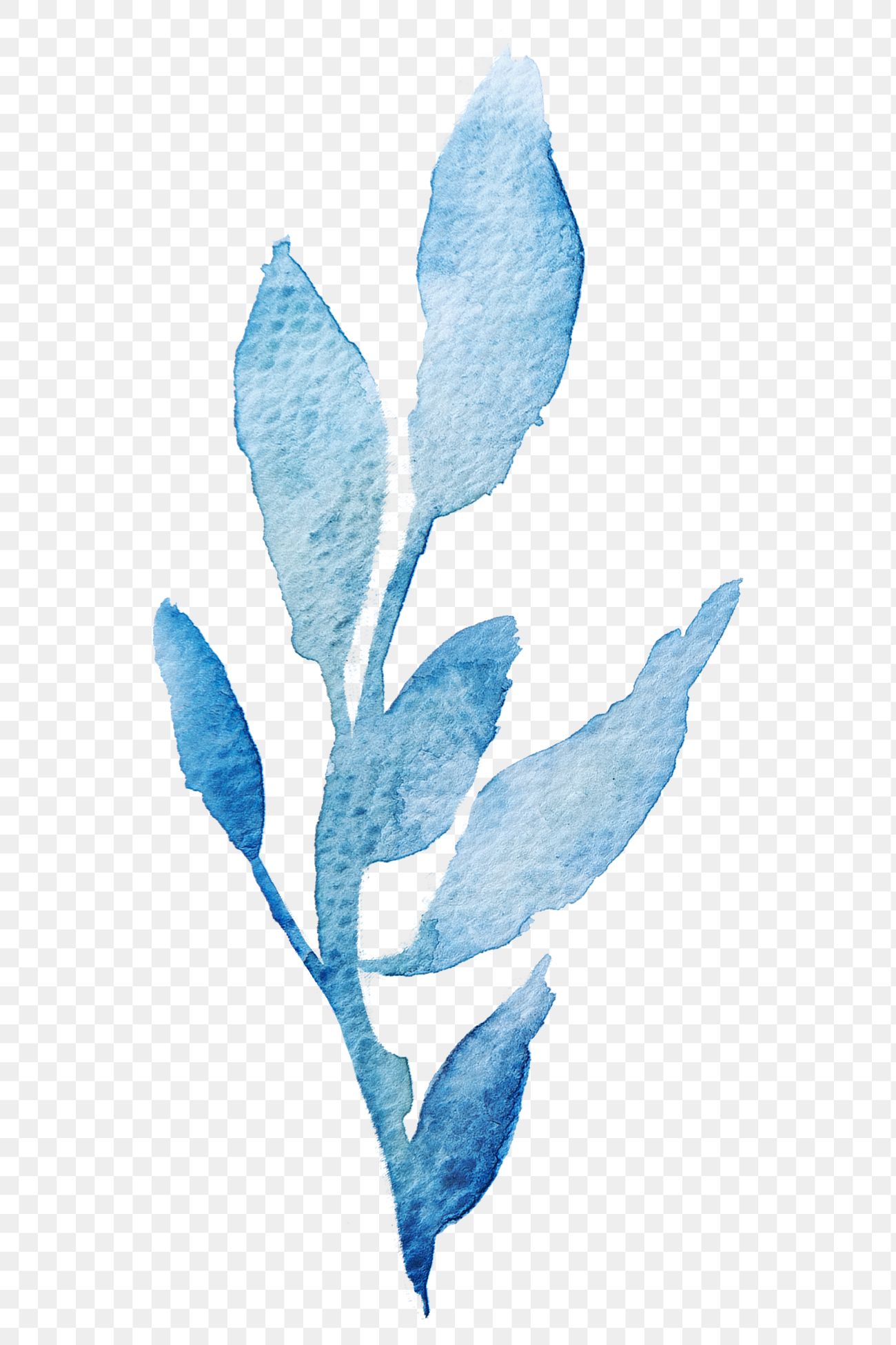 Download Blue leaves in watercolor png | Free transparent png - 2044748
