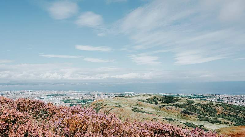 Nature Images Royalty Free Stock Photos Rawpixel