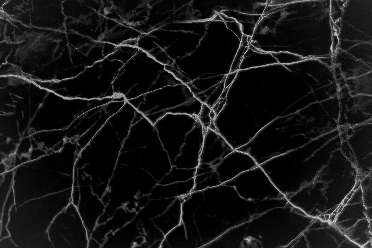 Close up of a black marble background Free photo 513950