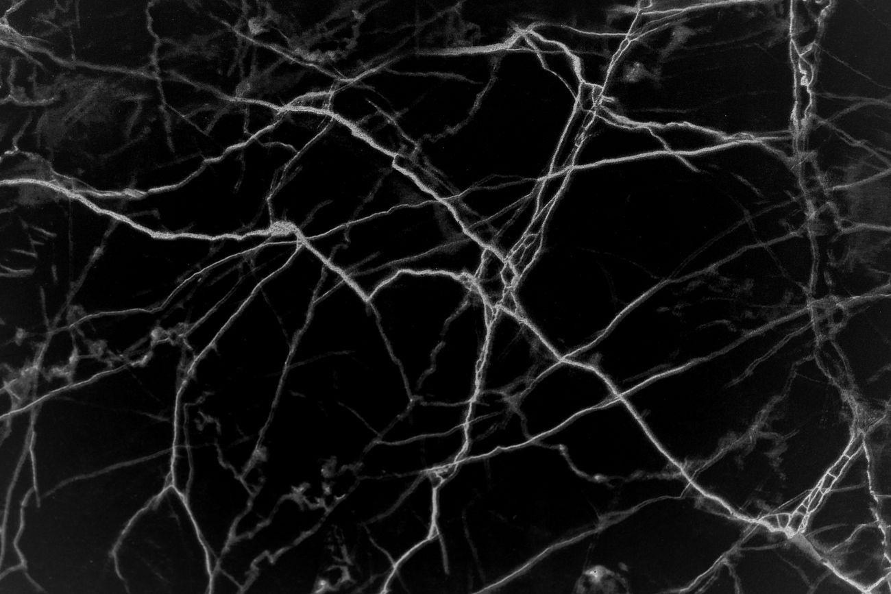 Close up of a black marble background Free photo 513950 Close up of a black marble background Free photo 513950