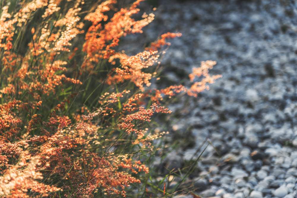 Free Nature Textures High Quality Images | rawpixel