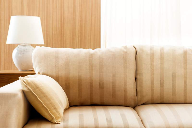 Sofa Zoom Background Images | Free Photos, PNG Stickers, Wallpapers &  Backgrounds - rawpixel