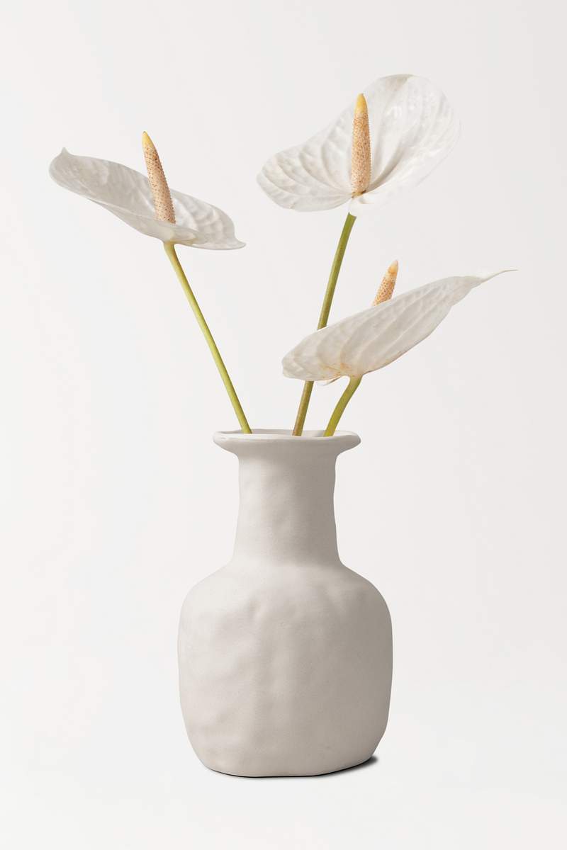 Flower Vase Images | Free HD Backgrounds, PNGs, Vector Graphics ...
