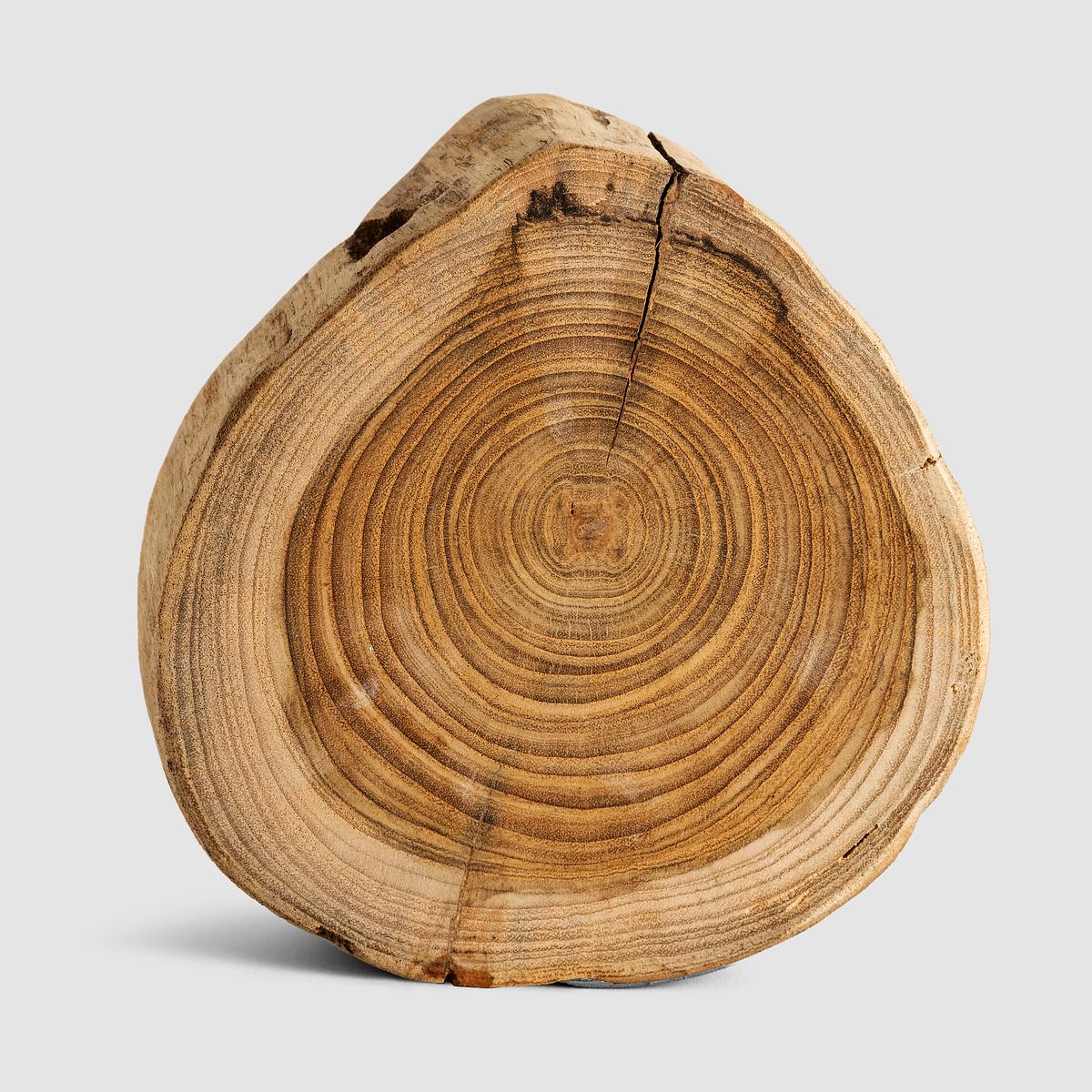 Single chopped wood slice mockup Premium PSD rawpixel