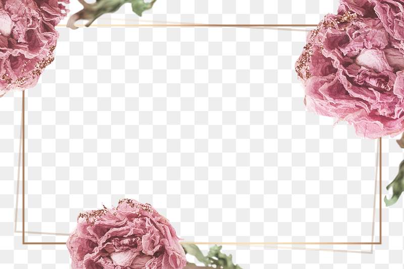 Cute Summer Decorated Pastel Frame Free Transparent Png 2285224