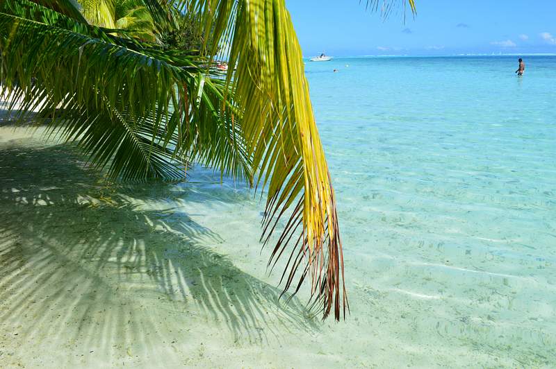 Moorea vs. Bora Bora: ¿Qué destino es para ti? 5