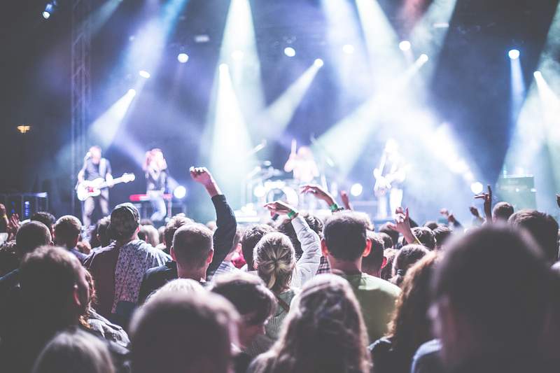 Festivals in New Zealand 2025 | Dates | Locations | Things to Know