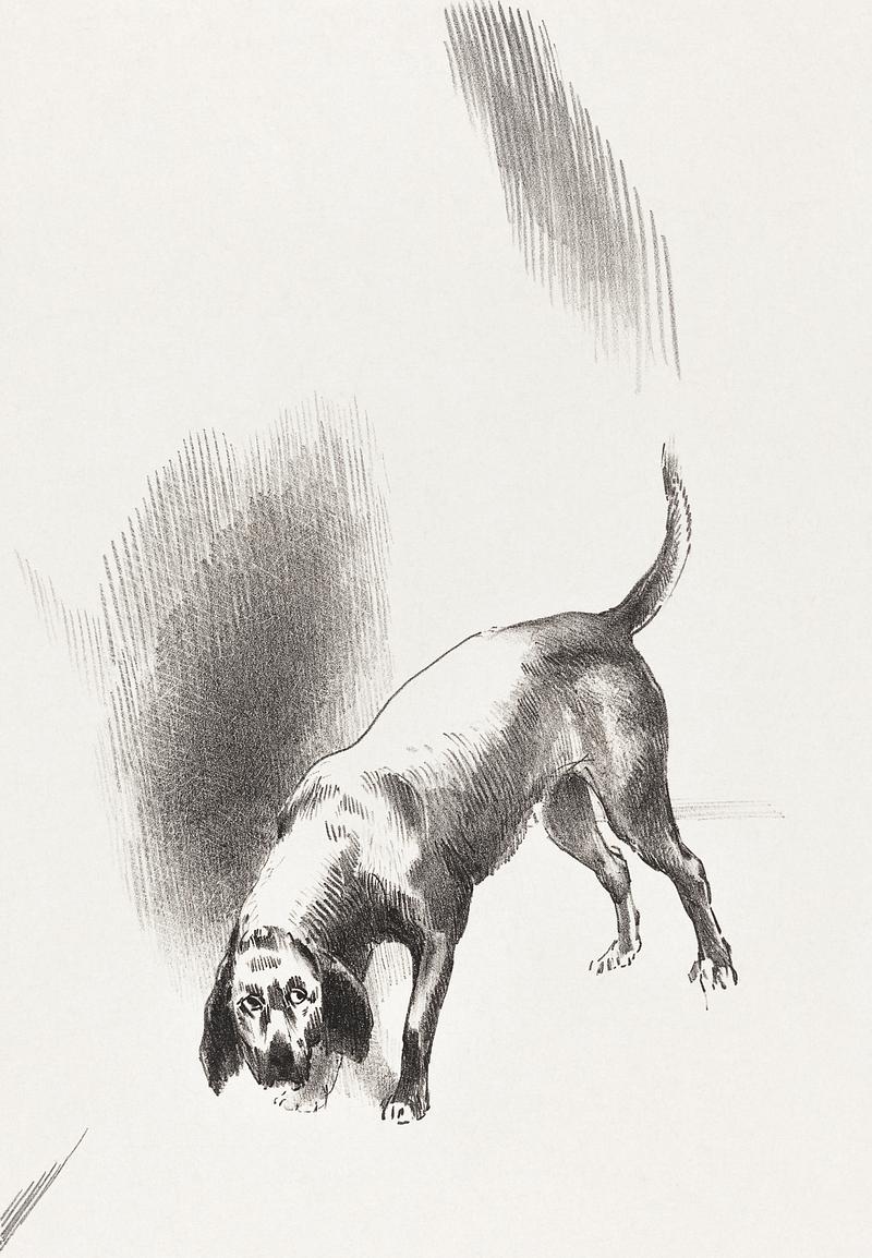 The Dog by Odilon Redon The Dog (1896) by Odilon Redon. Original from the National Gallery of Art. Digitally enhanced by rawpixel.