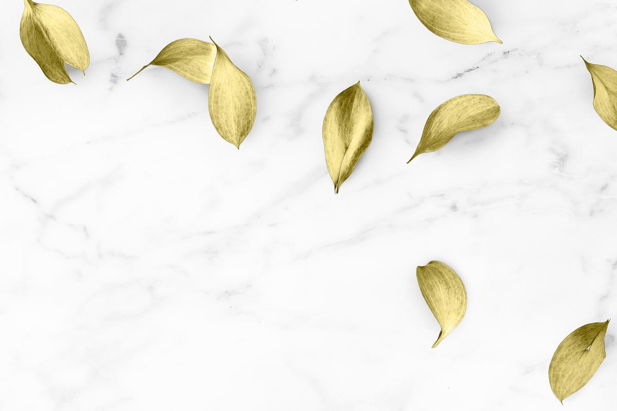 Gold eucalyptus leaves on white | Premium PSD - rawpixel
