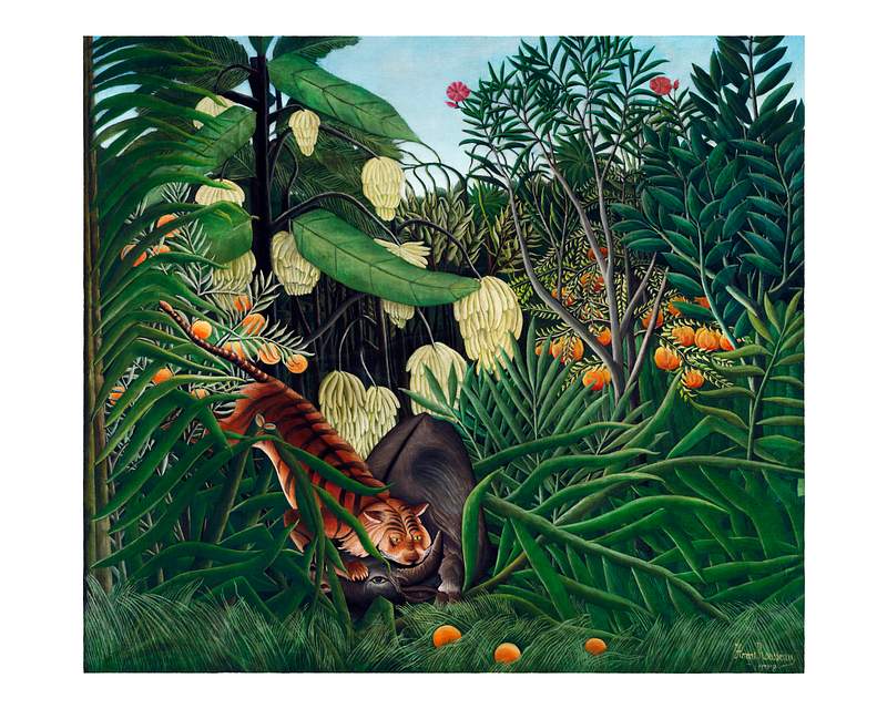 Post impressionism artwork by Henri Rousseau | Free stock illustration | High Resolution graphic Fight between a tiger and a buffalo vintage illustration wall art print and poster design remix from original artwork by…