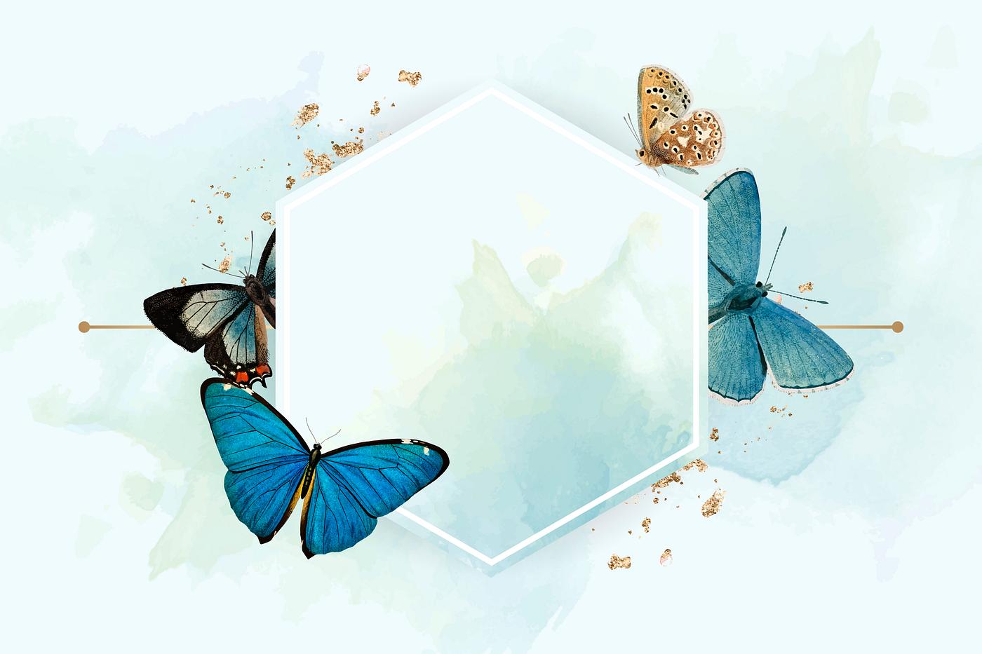 Download Blue butterfly frame | Royalty free vector - 1222323