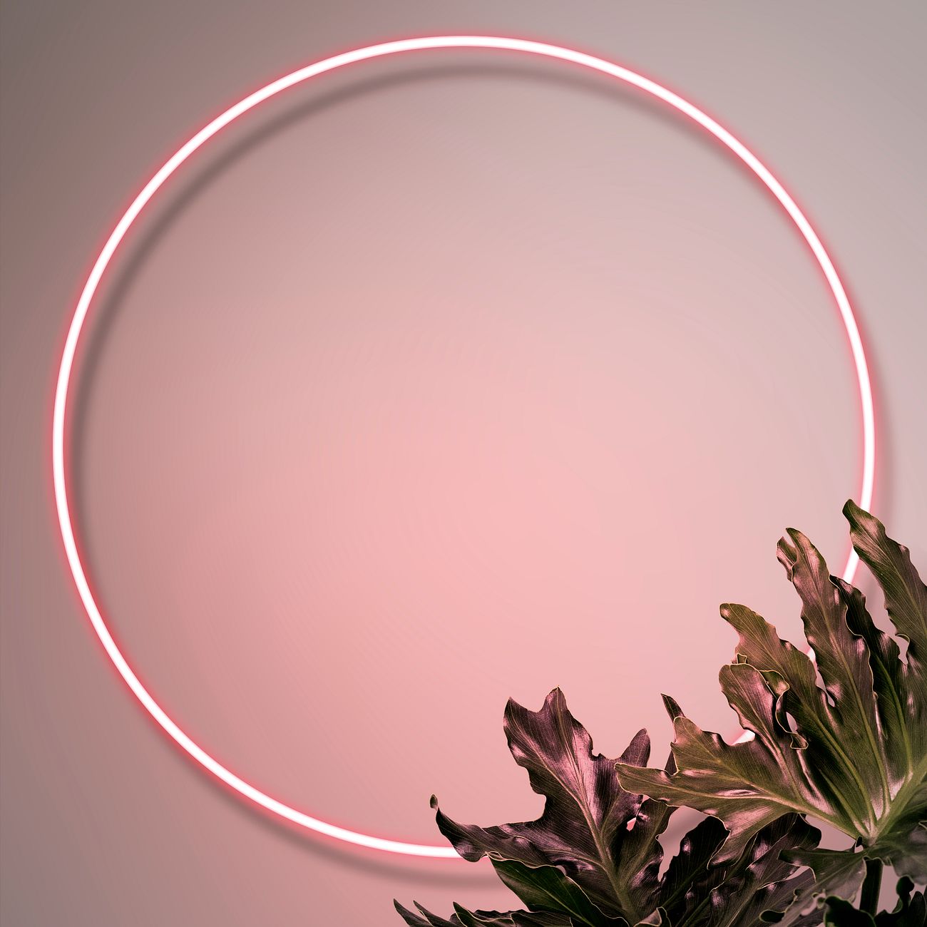 Download Neon botanical circle frame mockup | Royalty free illustration - 1223352