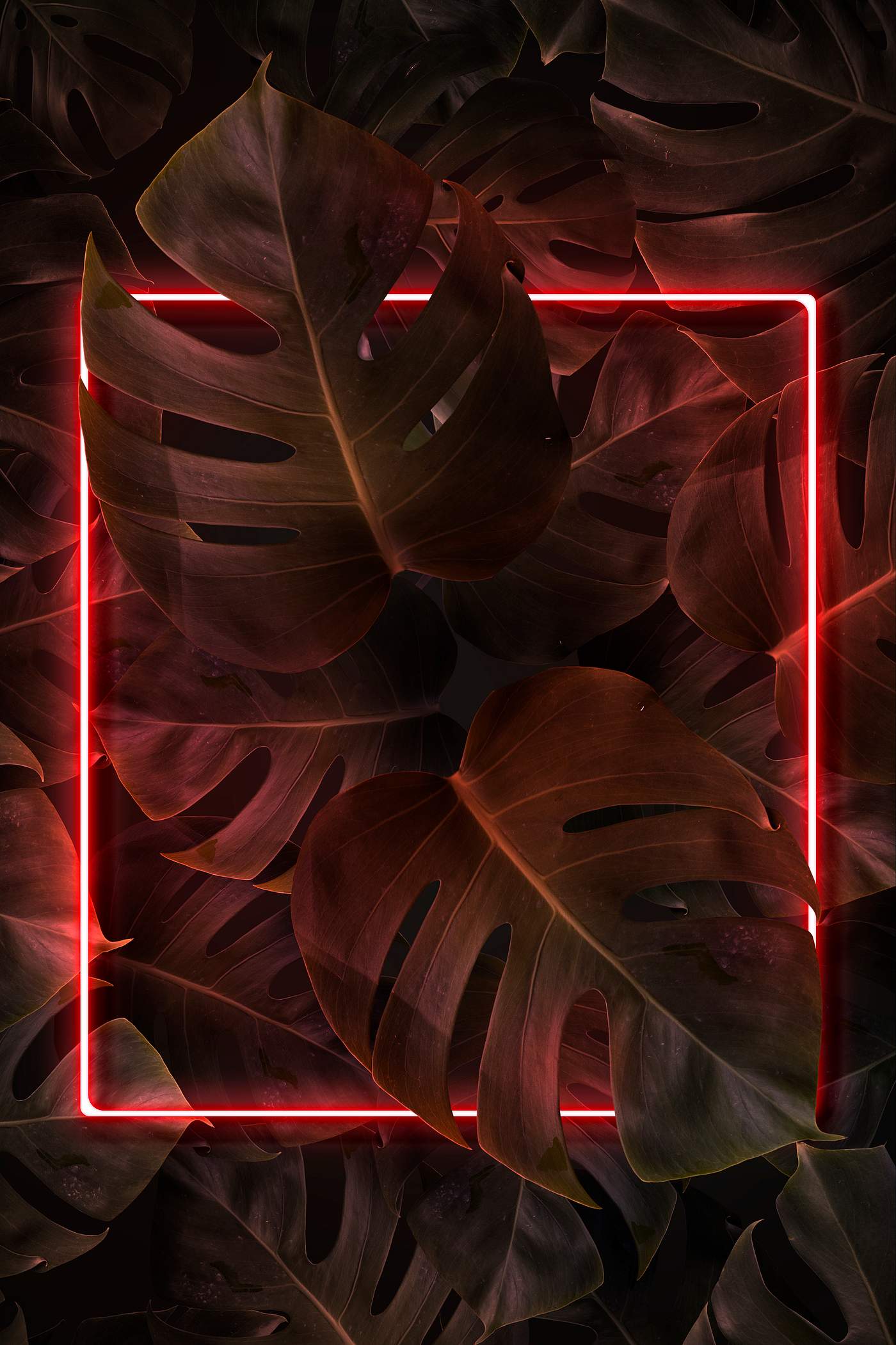 Download Neon botanical rectangular frame mockup | Royalty free ...