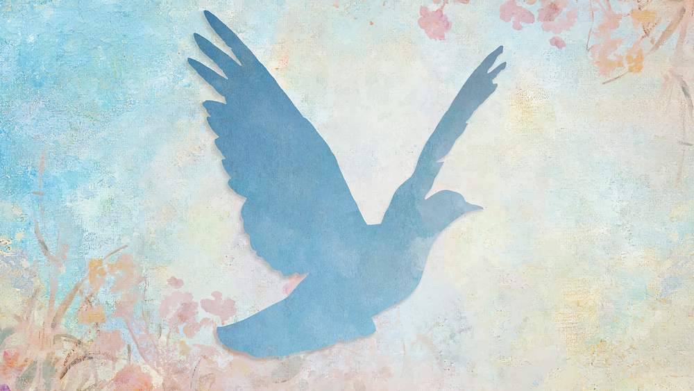 Dove Images | Free Photos, PNG Stickers, Wallpapers & Backgrounds