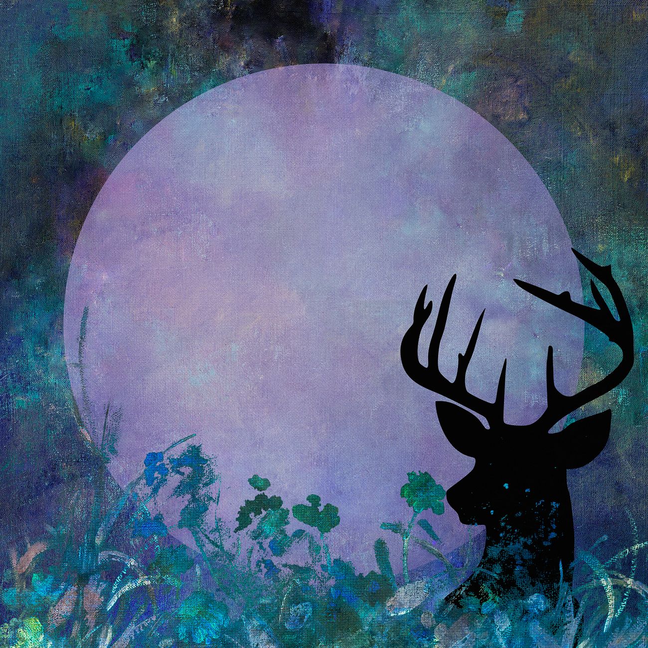 Wild Forest Frame Royalty Free Illustration 1227921