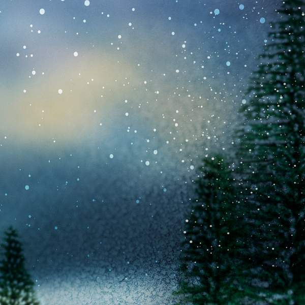 Blurred Pine Tree Background Royalty Free Photo