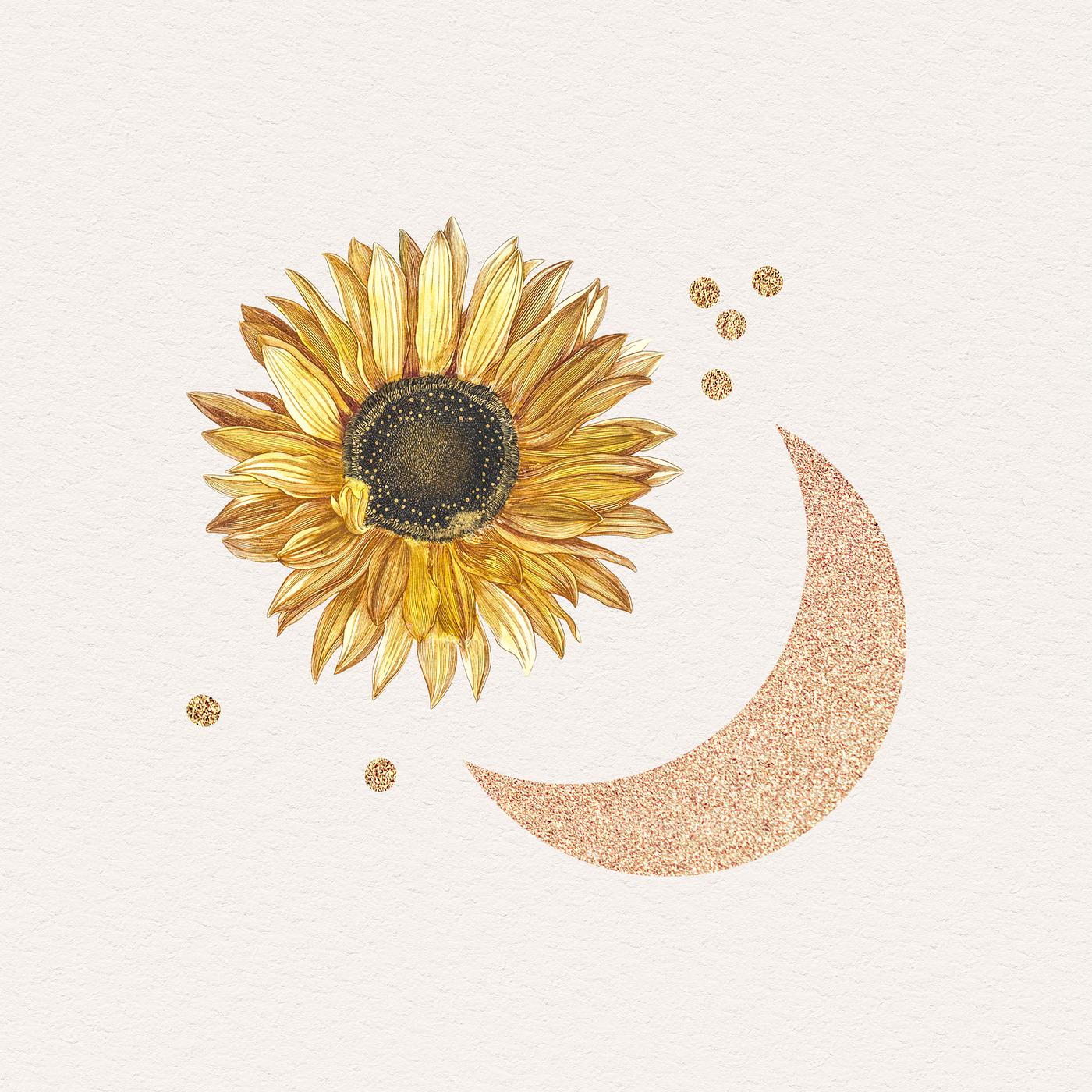 Sunflower and a moon sticker psd | Royalty free stock ...