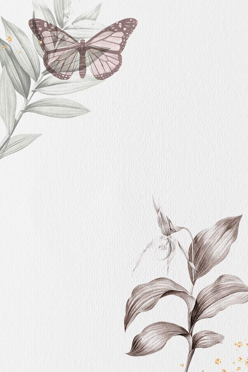 Butterfly Background Images | Free iPhone & Zoom HD Wallpapers