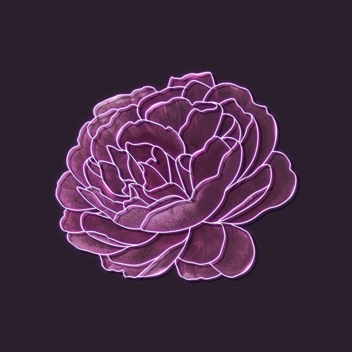 Neon purple rose