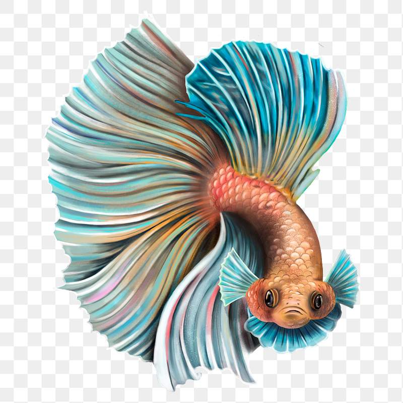 Betta Fish Tail Background Design Resource Royalty Free Illustration 2333126