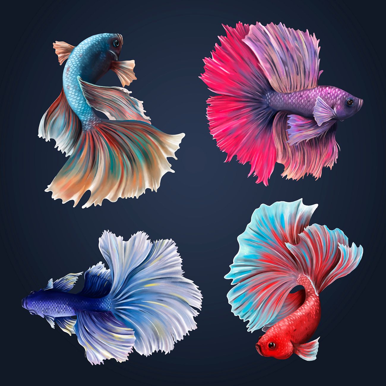 Download Beautiful betta fish collection vector | Royalty free vector - 2334263