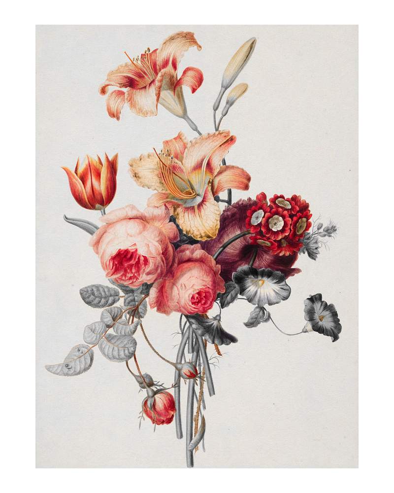 Flower bouquet vintage illustration wall art… | Royalty free stock Illustration | High Resolution graphic Flower bouquet vintage illustration wall art print and poster design remix from original artwork.
