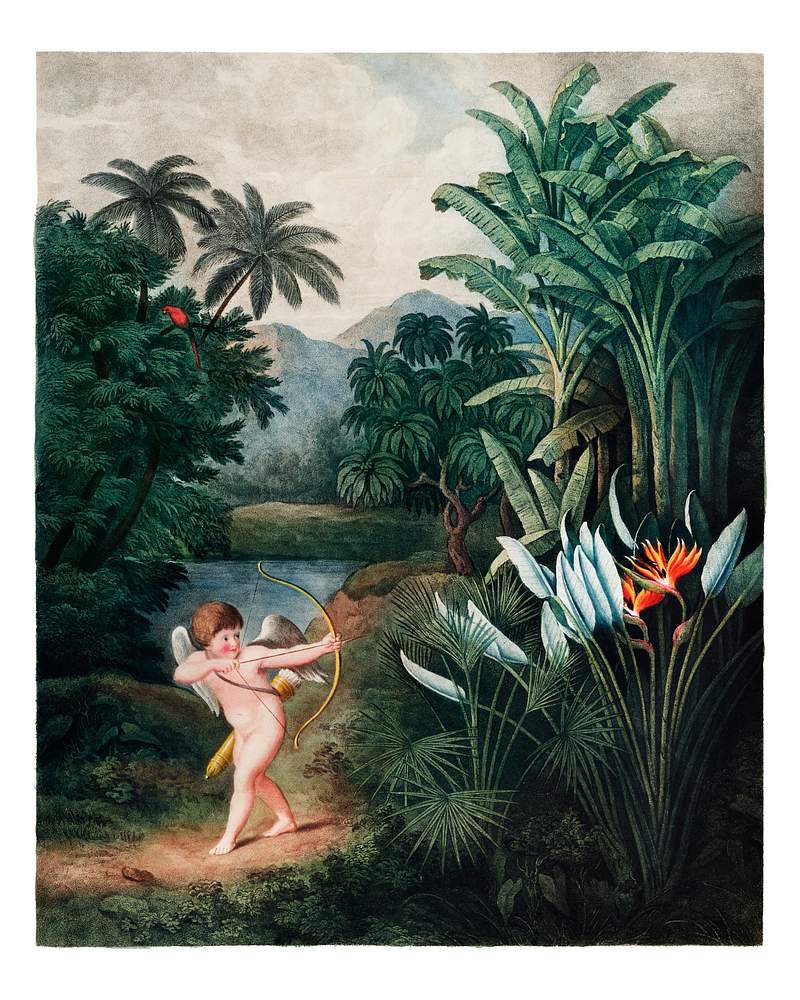 Cupid Inspiring Plants with Love vintage… | Royalty free stock Illustration | High Resolution graphic Cupid Inspiring Plants with Love vintage illustration by Robert John Thornton. Digitally enhanced by rawpixel.