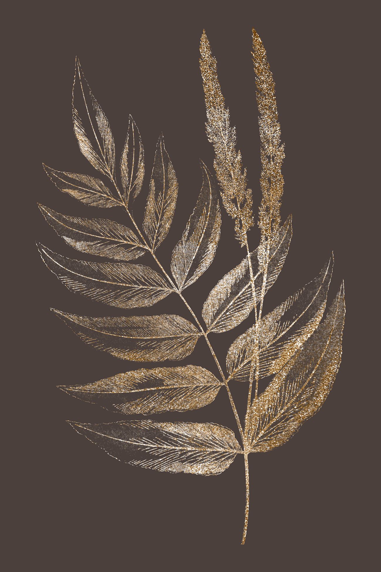 Brown Leaves Images | Free Vectors, PNGs, Mockups & Backgrounds - rawpixel