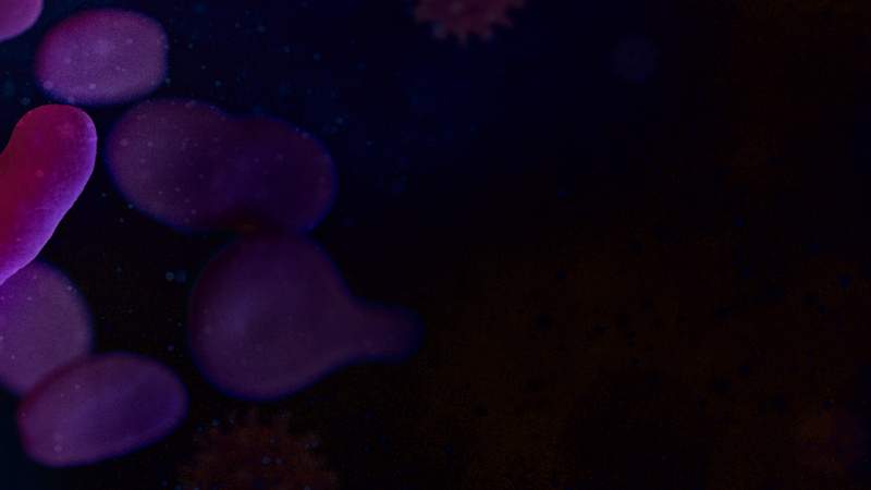 Cell Wallpaper Images | Free Photos, PNG Stickers, Wallpapers