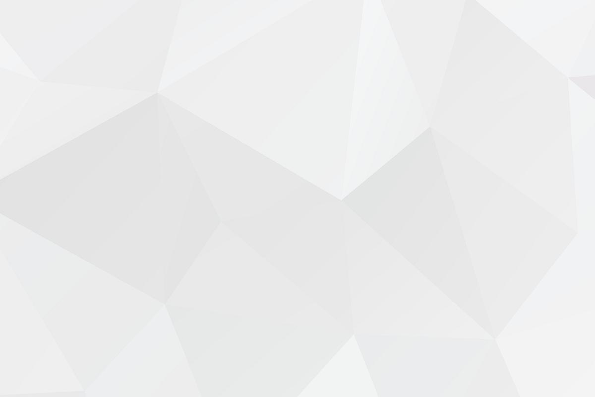 White polygon textured background Free stock photo 577546 White polygon textured background Free stock photo 577546