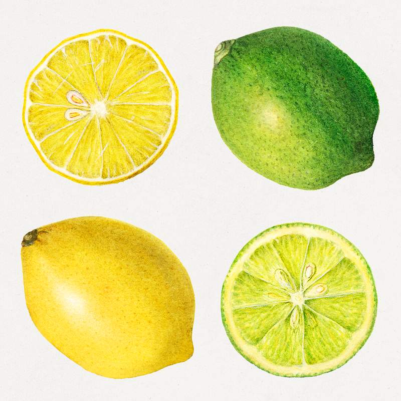 Лимон вектор. Лимон Графика. Лайм рисунок. Смешанные цитрус. Девять лимонов