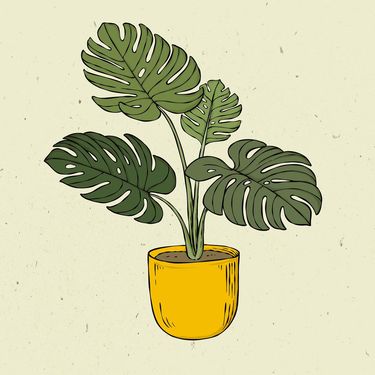 Free royalty image about Monstera retro hand drawn monstera psd