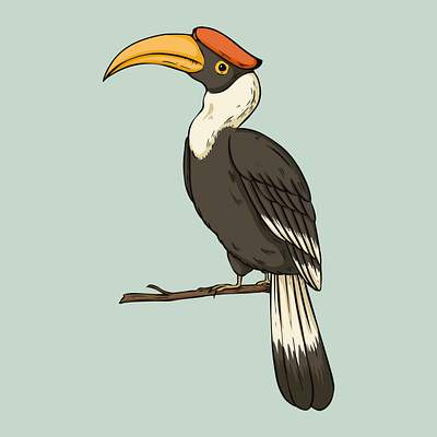 95 Koleksi Gambar Burung Kenyalang Kartun Terbaik