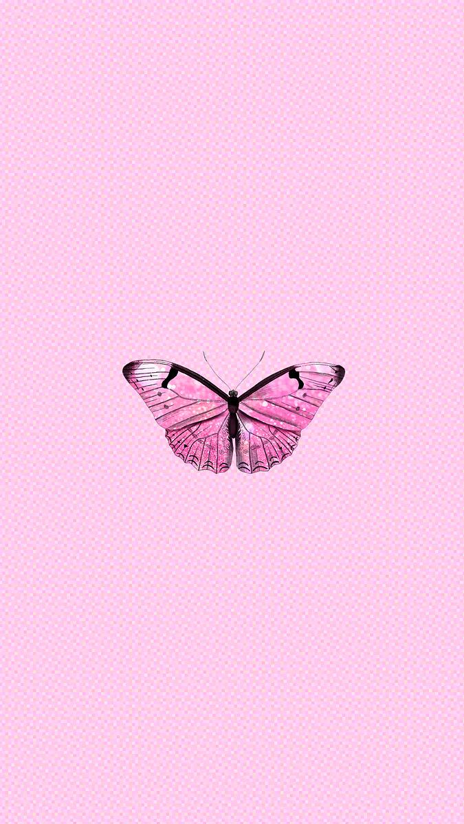 Pink Holographic Butterfly Background Premium Psd Rawpixel Pink Holographic Butterfly Background Premium Psd Rawpixel