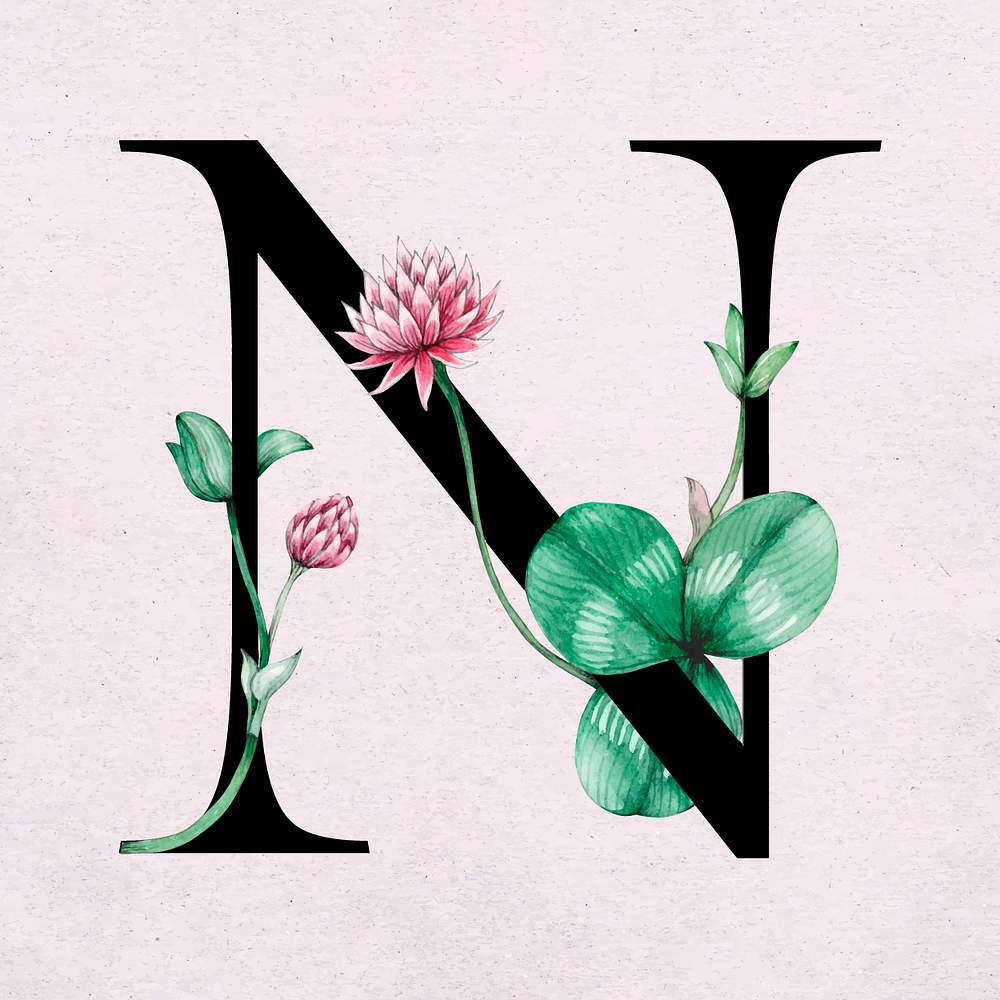 Floral Alphabet Font Letter N Images Free Vectors, PNGs, Mockups
