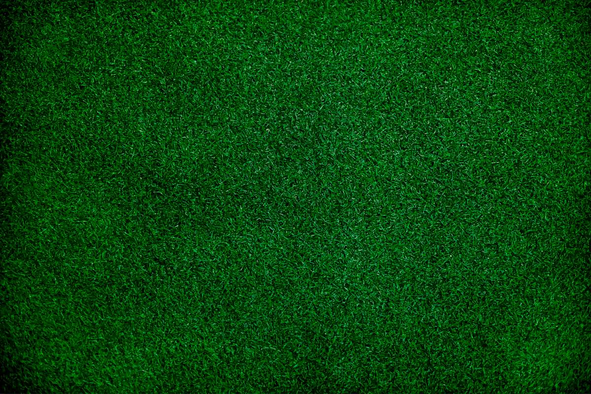 Green Meadow Background Green Meadow Background