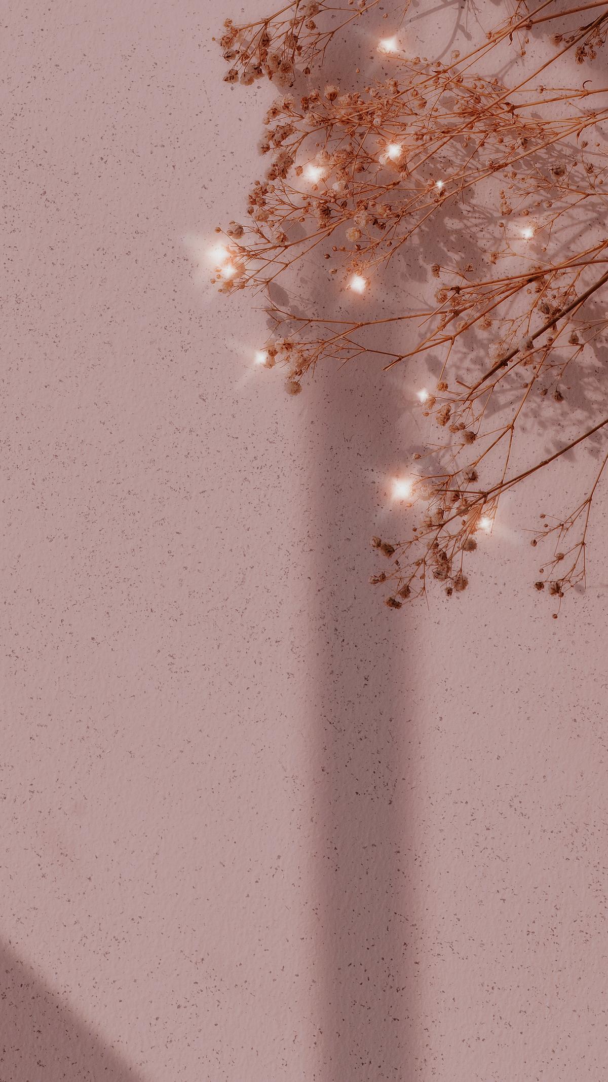 Sparkle dried flower background image | Premium Photo - rawpixel