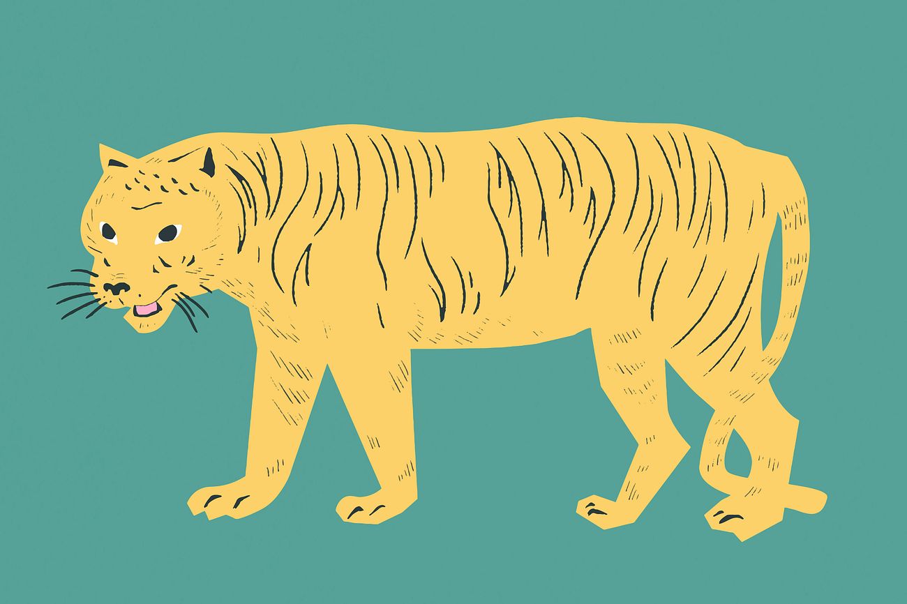 Tiger Stripes Images | Free Photos, PNG Stickers, Wallpapers ...