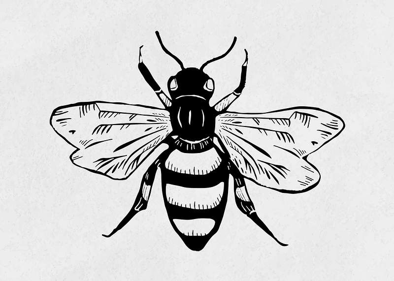 Bee Stencil Images | Free Photos, PNG Stickers, Wallpapers